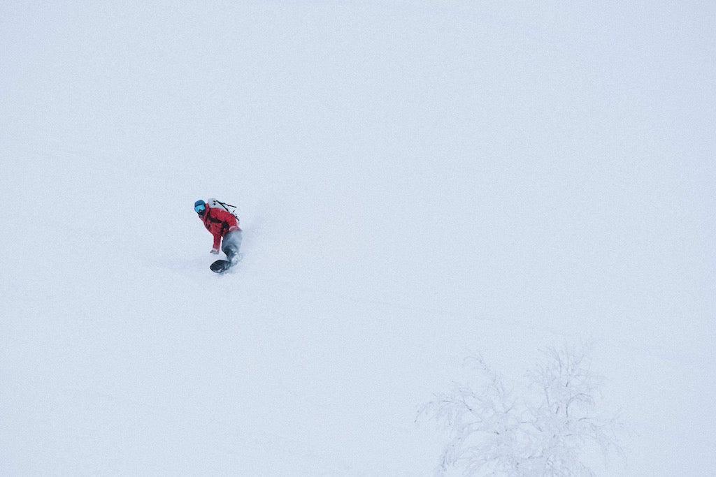 NISEKO BC Trip